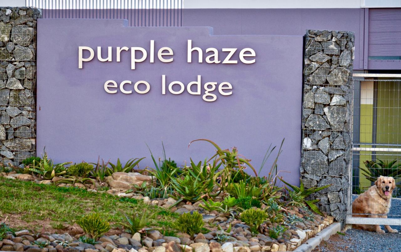 Purple Haze Eco Lodge Chintsa Bagian luar foto