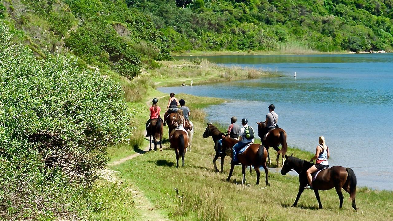 Purple Haze Eco Lodge Chintsa Bagian luar foto